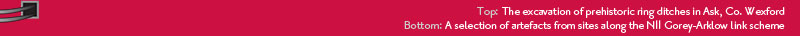 The excavation of prehistoric ring ditches in Ask, Co. Wexford A selection of artefacts from sites along the N11 Gorey-Arklow link scheme